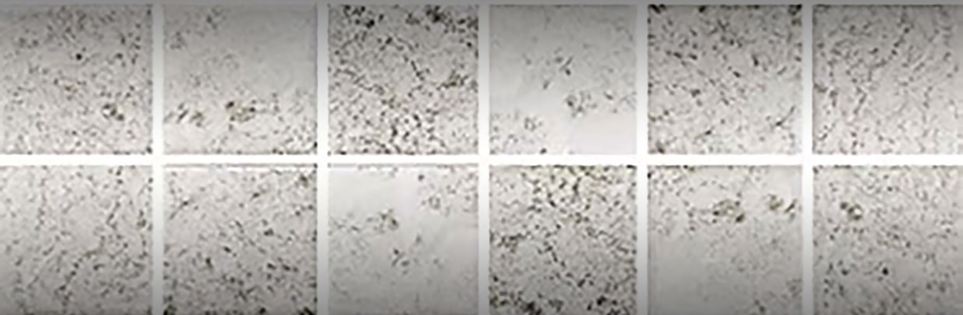 graphite granite paving